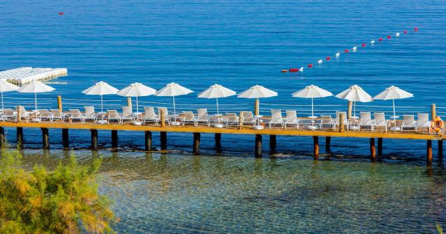 Blue-Dreams-Resort-2024-BEACH-03