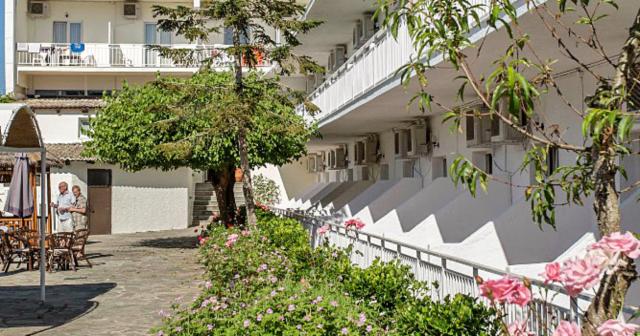 Popi-Star-BUILDING