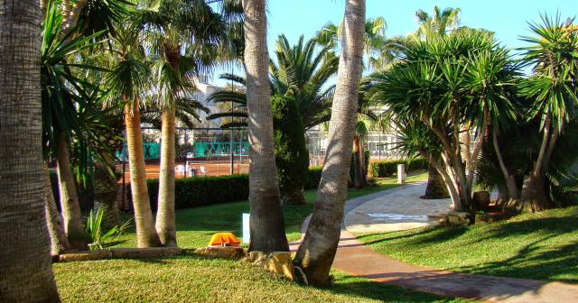 Club-Simo-Affiliated-2024-GARDEN-01