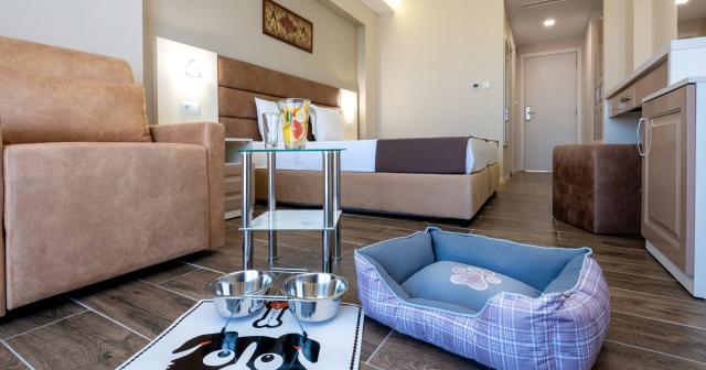 Sunny-Hotel-PETS