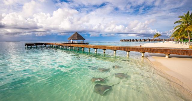 Sun-Siyam-Vilu-Reef-2025-BEACH-02