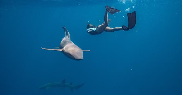 Sun-Siyam-Vilu-Reef-2025-SNORKELING-01