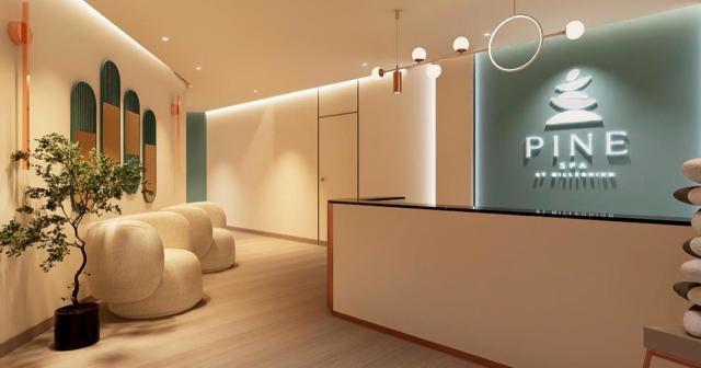 Millennium-Lakeview-Hotel-SPA-VIZUALIZACE-01
