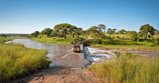 Safari-06