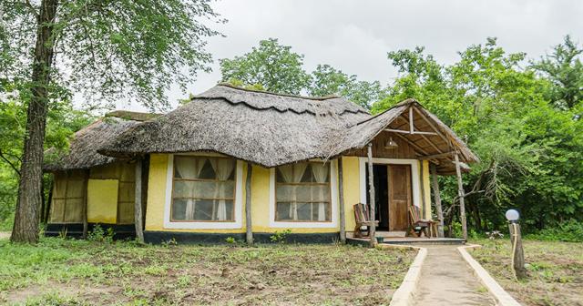 Selous-ROOM-01