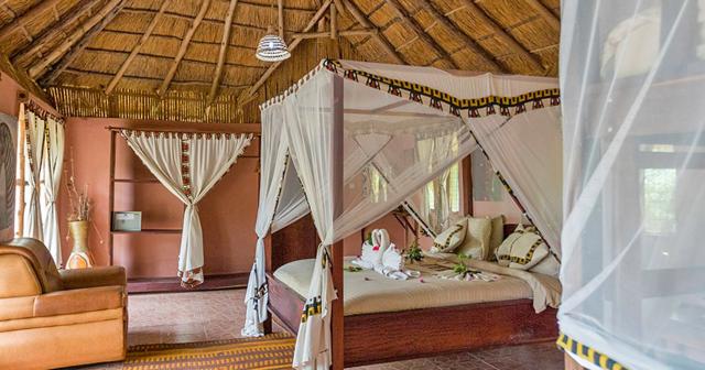Selous-ROOM-02