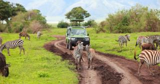 3 Days Safari Selous With Relaxation In Zanzibar