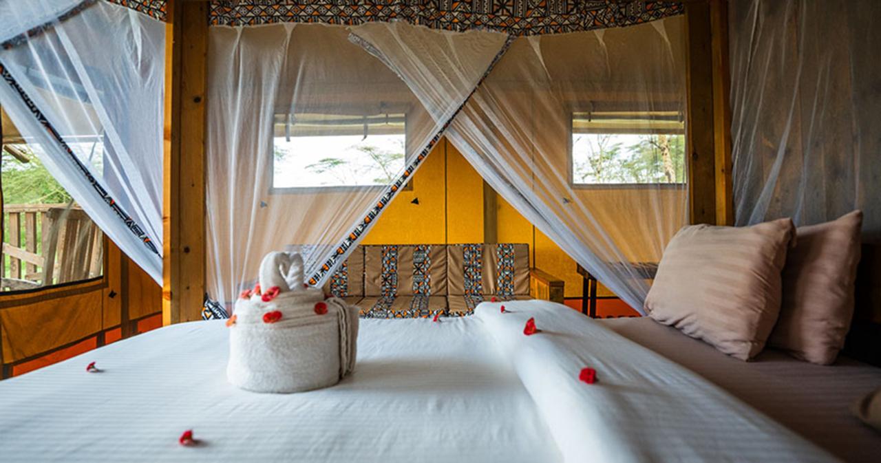 Safari-Ngorongoro-TENT-01