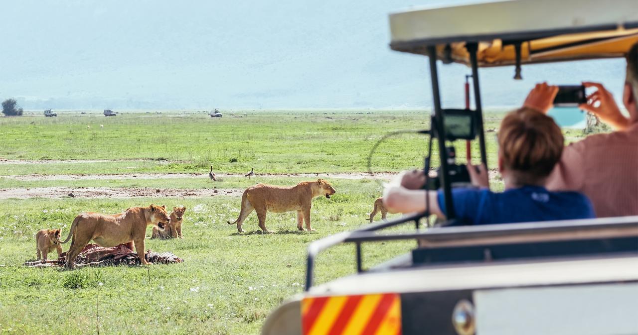 Safari-Ngorongoro-01