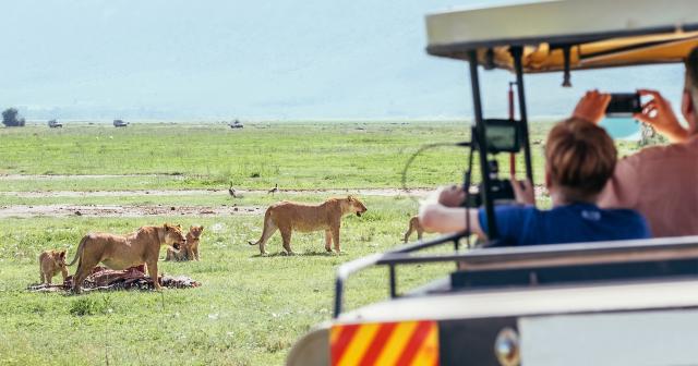 Safari-Ngorongoro-01