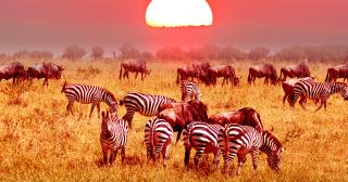 3 Days Safari Ngorongoro With Relaxation In Zanzibar
