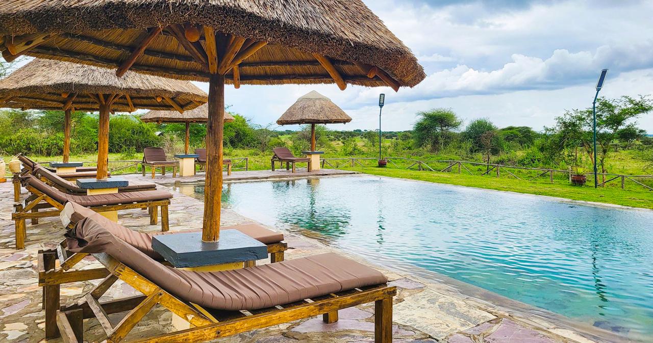 3-Dny-Na-Safari-Serengeti-S-Relaxem-Na-Zanzibaru-12