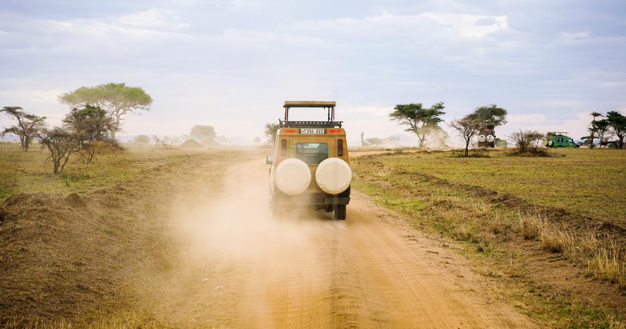 3-Dny-Na-Safari-Serengeti-S-Relaxem-Na-Zanzibaru-06
