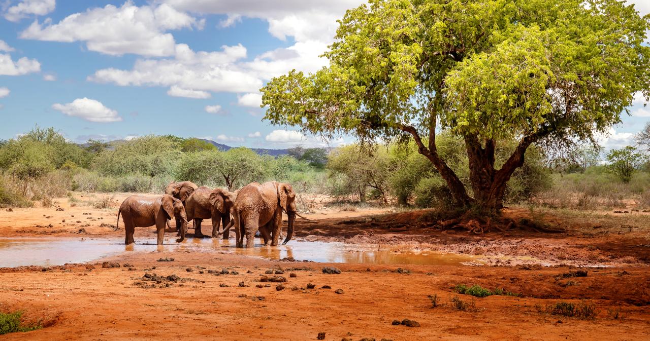 3-Dny-Na-Safari-Serengeti-S-Relaxem-Na-Zanzibaru-02