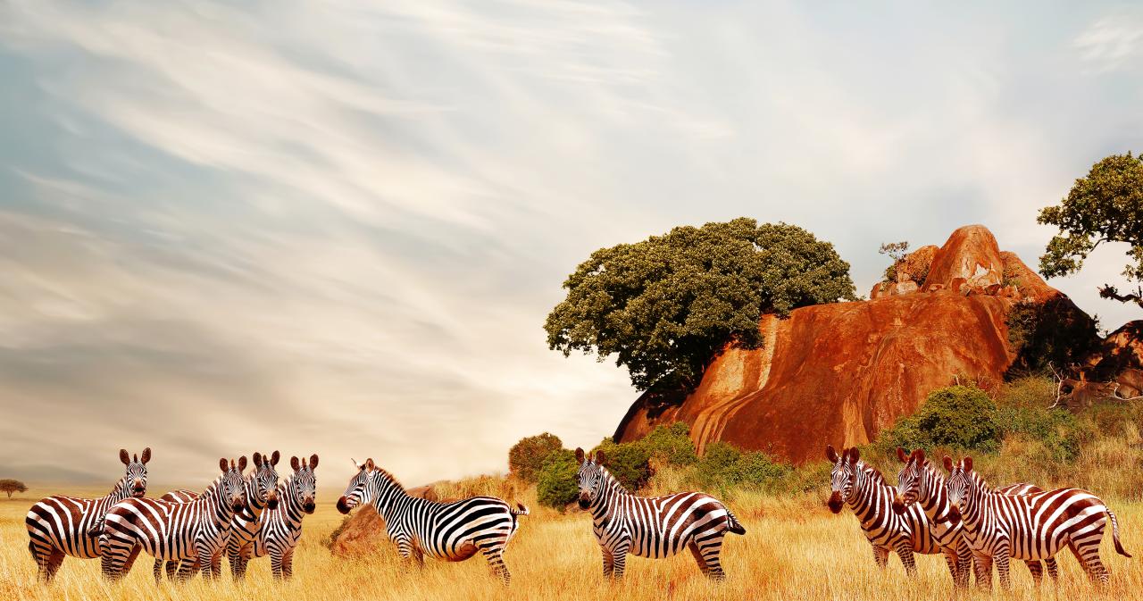 3-Dny-Na-Safari-Serengeti-S-Relaxem-Na-Zanzibaru-03