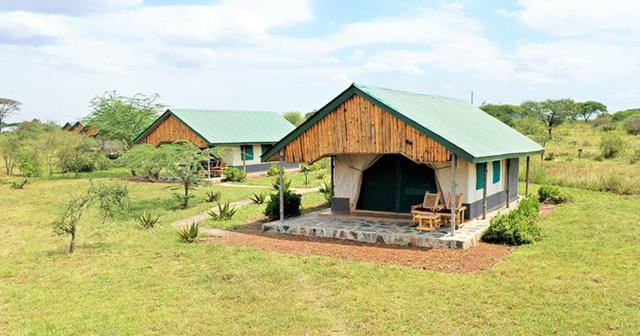 3-Dny-Na-Safari-Serengeti-S-Relaxem-Na-Zanzibaru-11