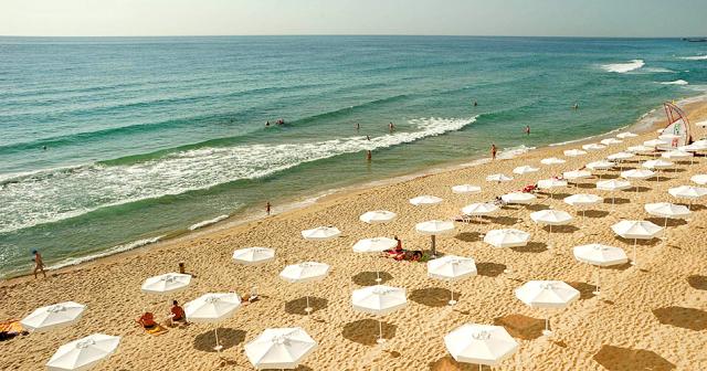 Palace-Sunny-Day-BEACH-2021