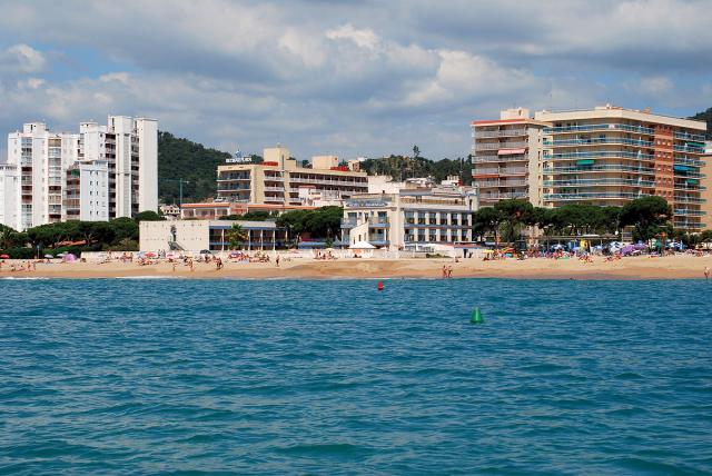 Amaraigua