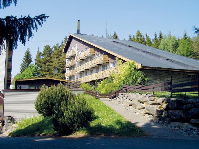 Srní