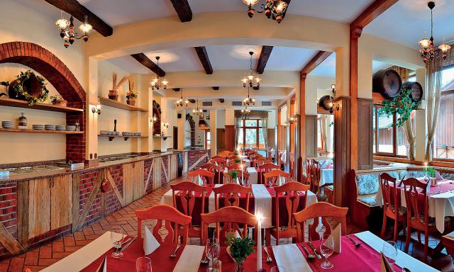Ski & Wellness Residence Družba