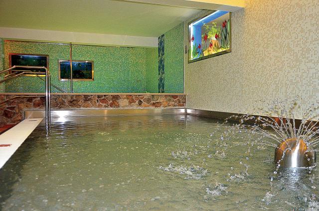 Ski & Wellness Residence Družba
