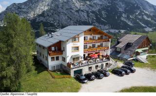 Alpenrose