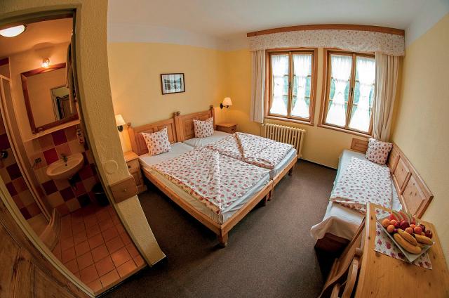 Alpský hotel
