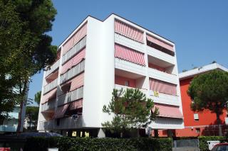 Gabbiano Spiaggia