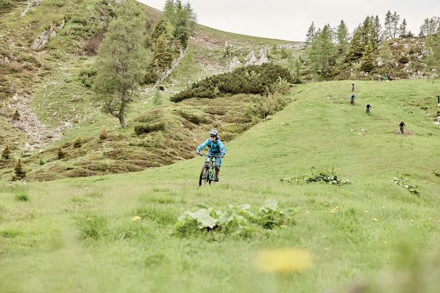 Franz Ferdinand Mountain Resort