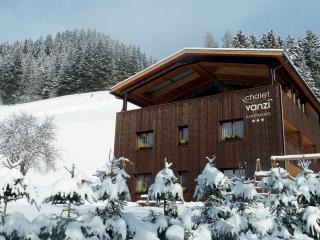 Chalet Vanzi