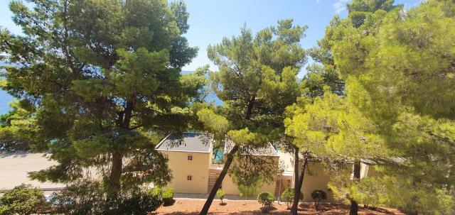 Holiday Village Sagitta - resort
