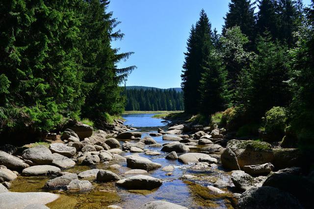 Smědava