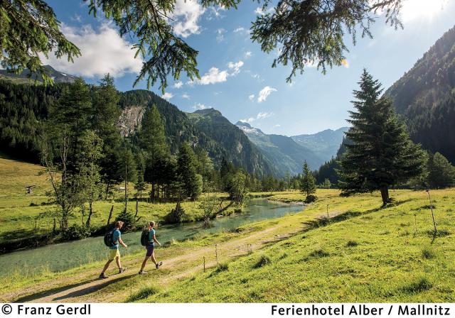 Ferienhotel Alber