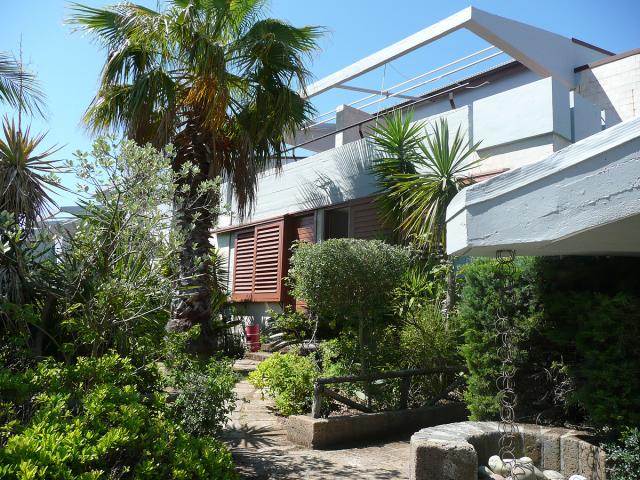 Solemaremma