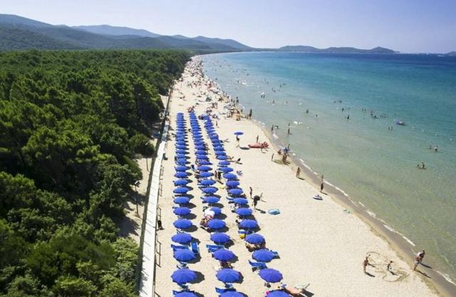 Solemaremma