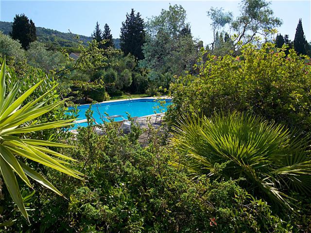 Solemaremma