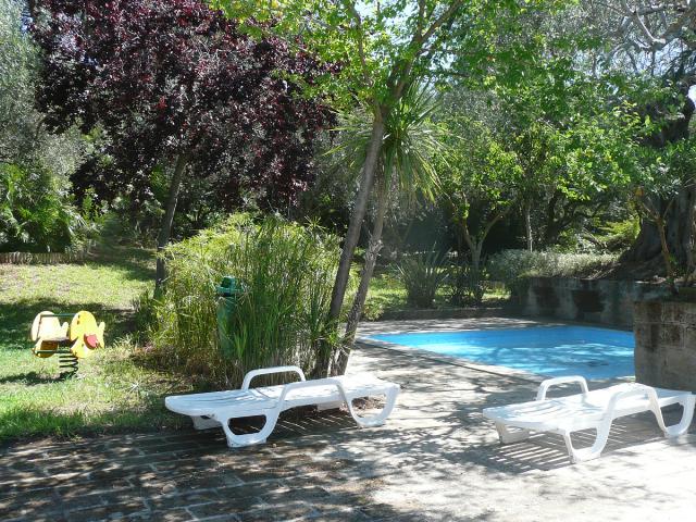 Solemaremma