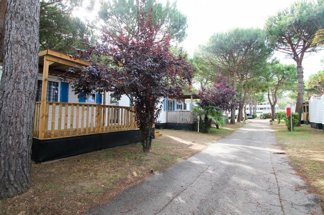 Residence Village
