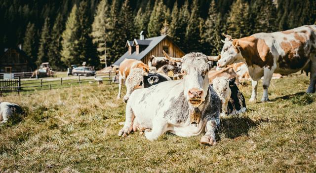 Landhotel Postgut