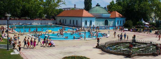 Flóra