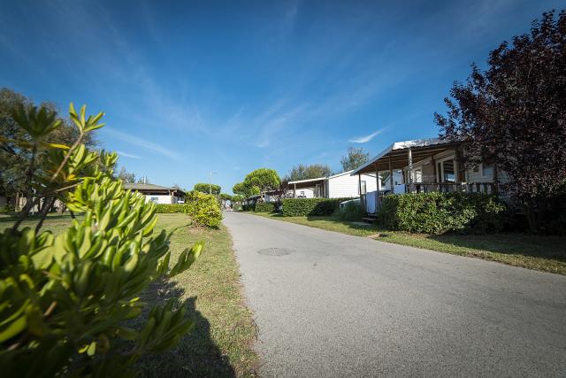 Vigna Sul Mar Camping Village