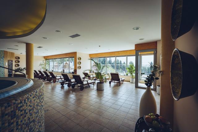 Forest hotel Videc