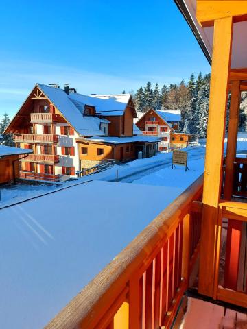 Forest hotel Videc