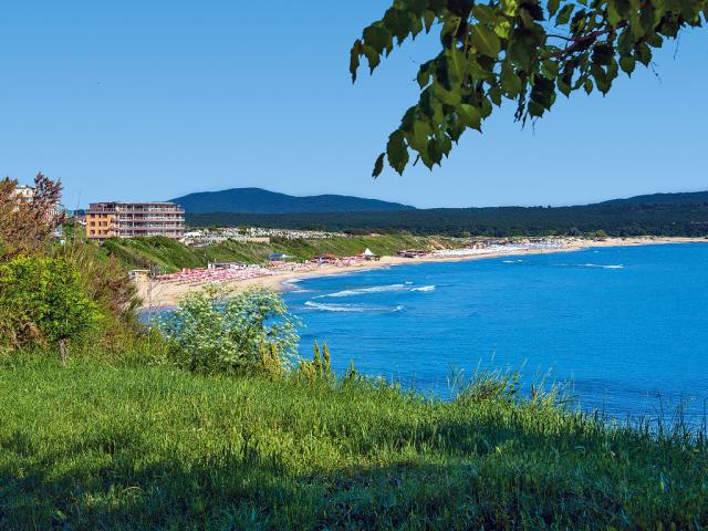 Stoykovi