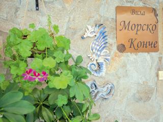 Morsko Konche