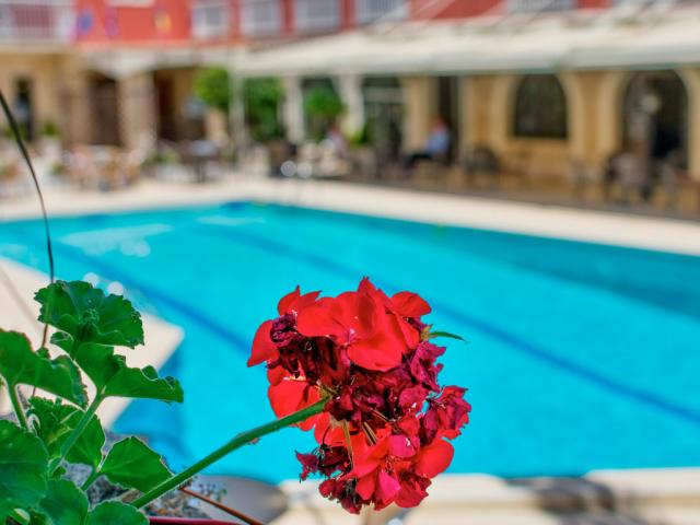 Oasis Hotel