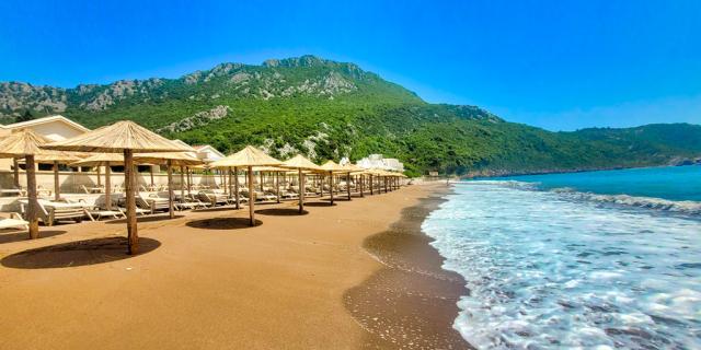 Pearl Beach