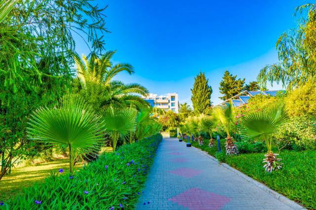 Timo Deluxe Resort