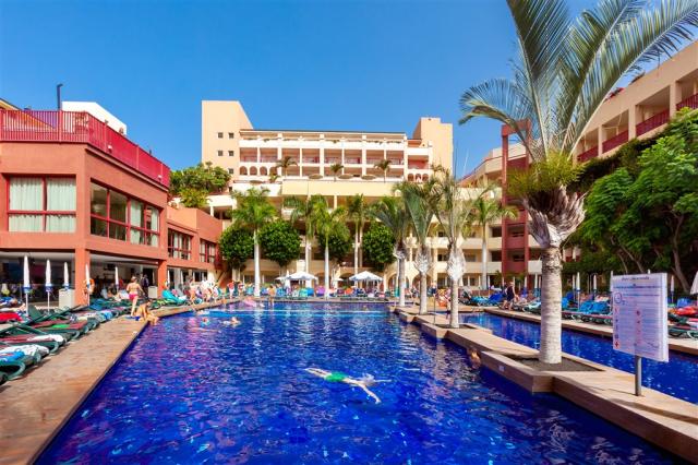Best Jacaranda 2018 ( Pool).jpg