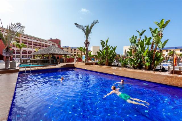 Best Jacaranda 2018 (Small pool).jpg
